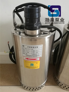 QN40-21-4KW_輕型不銹鋼潛水泵